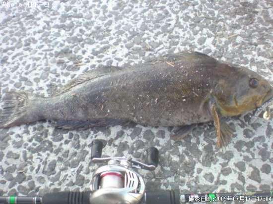 �����ʥ�