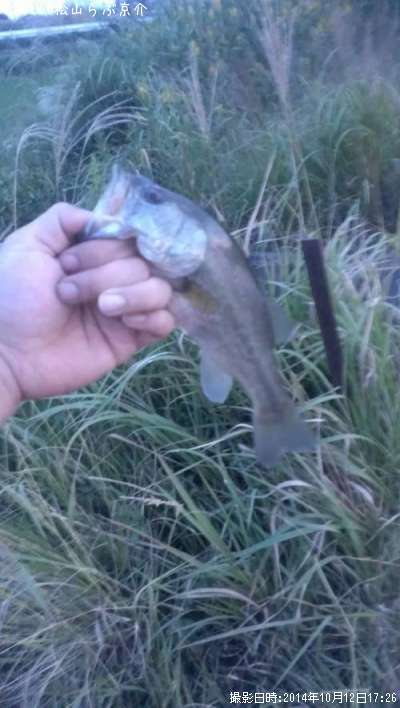 �֥�å��Х�