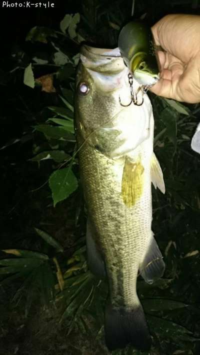 �֥�å��Х�