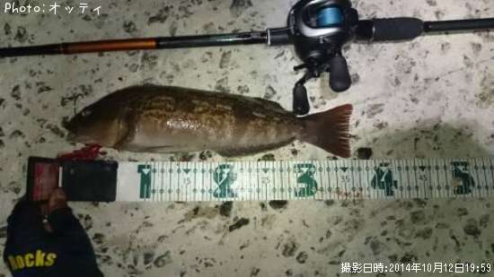 �����ʥ�