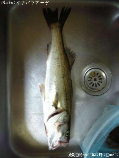 �����Х�