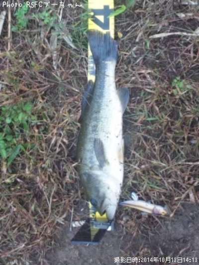 �֥�å��Х�