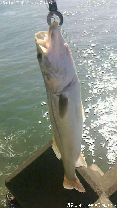 �����Х�