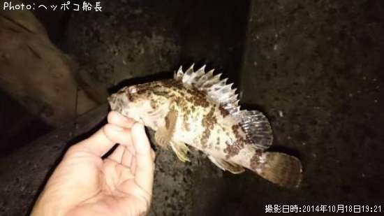 �����Υ���Х�