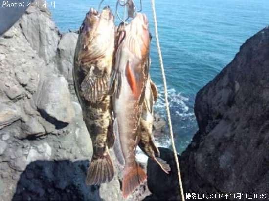 �٥å�������