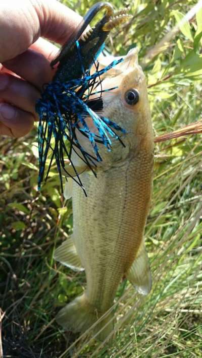 �֥�å��Х���