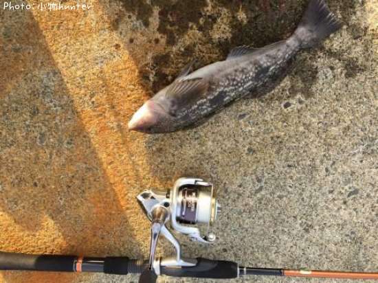 �����ʥ�