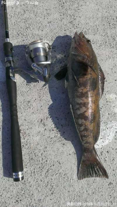 �����ʥ�