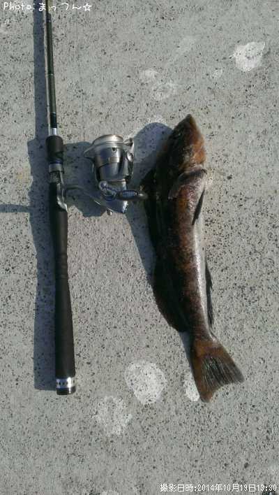 �����ʥ�