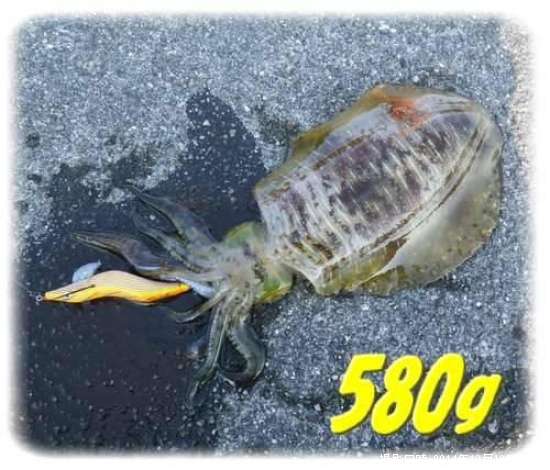 �����ꥤ��