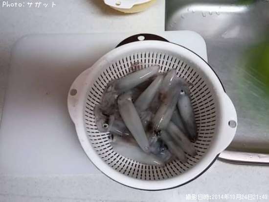 �ƥ��ӥ���