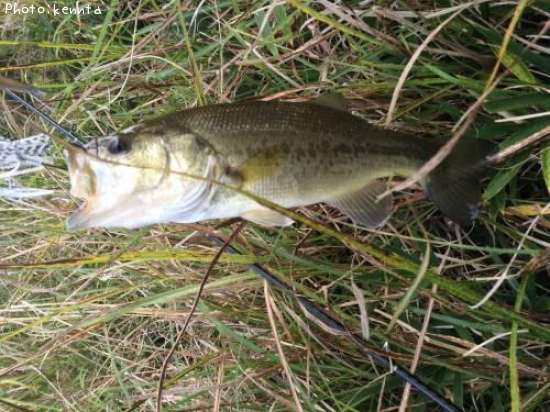 �֥�å��Х�