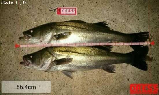 �����Х�