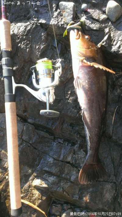 �����ʥ�