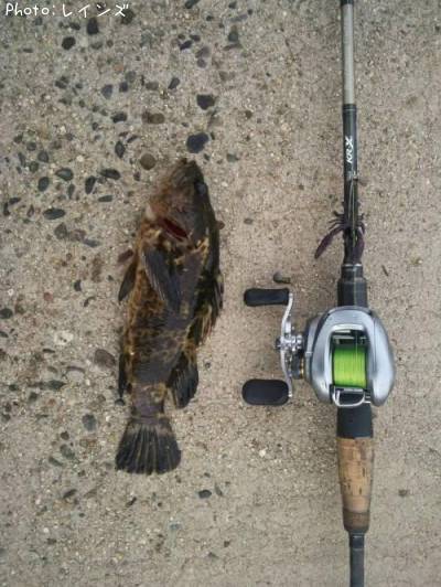 �����Υ���Х�