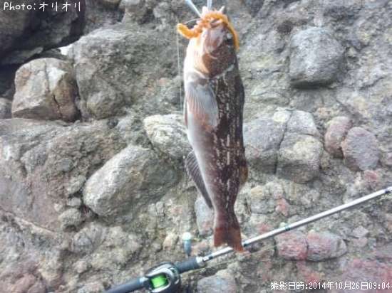 �����ʥ�