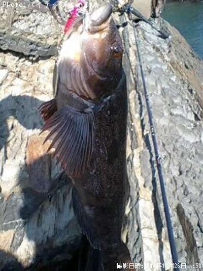 �����ʥ�