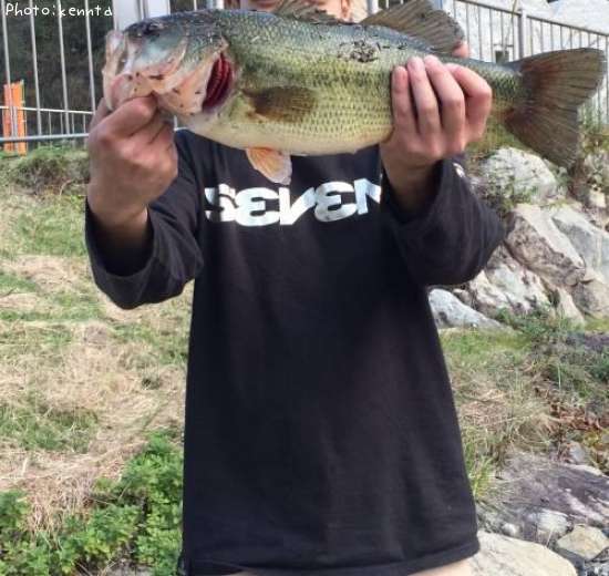 �֥�å��Х�