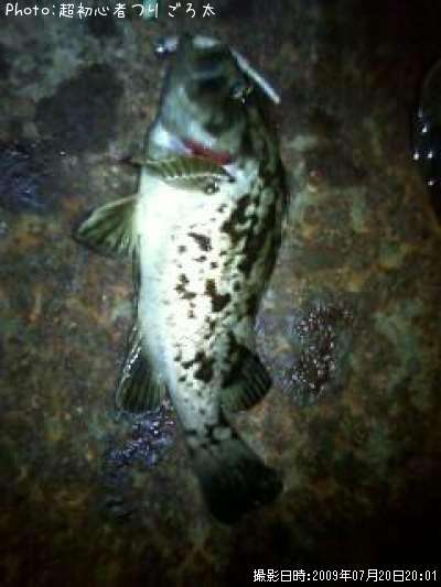 �٥å�������