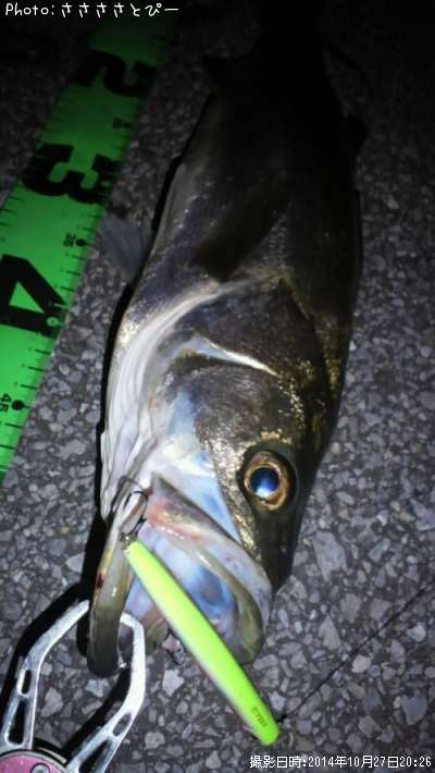 �����Х���