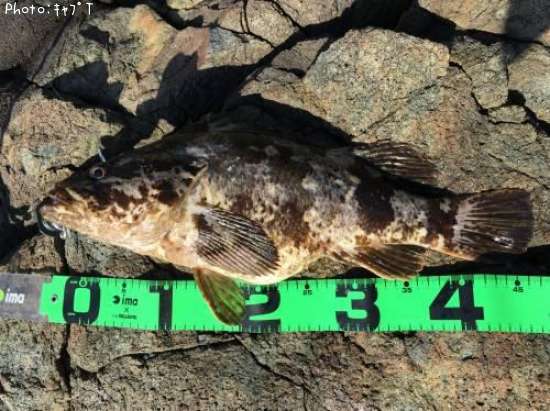 �����Υ���Х�