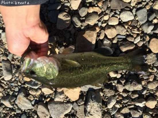 �֥�å��Х�