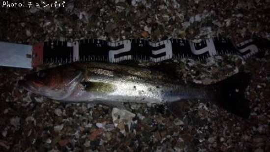 �����Х�