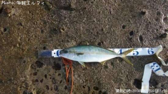 ���祢�ޥ�