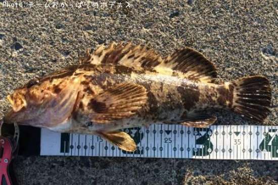 �����Υ���Х�