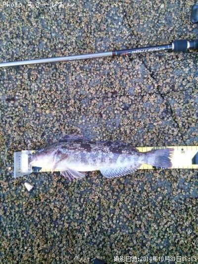 �����ʥ�