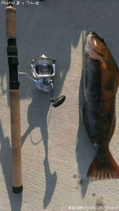 �����ʥ�