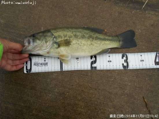 �֥�å��Х�