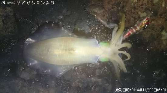 �����ꥤ��