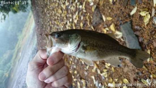 �֥�å��Х�