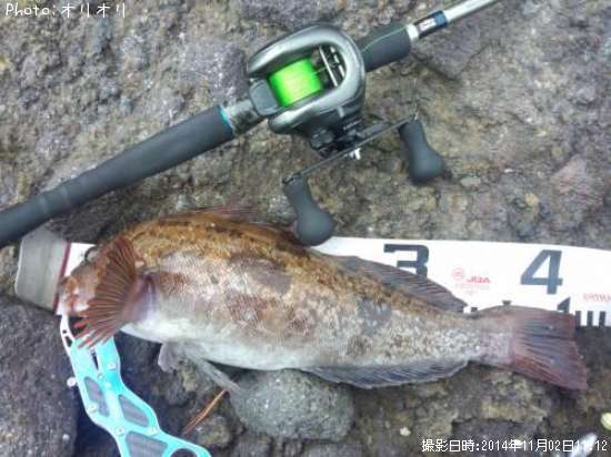 �����ʥ�