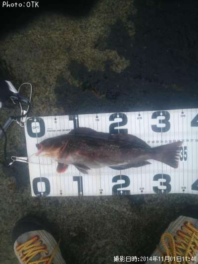 �����ʥ�