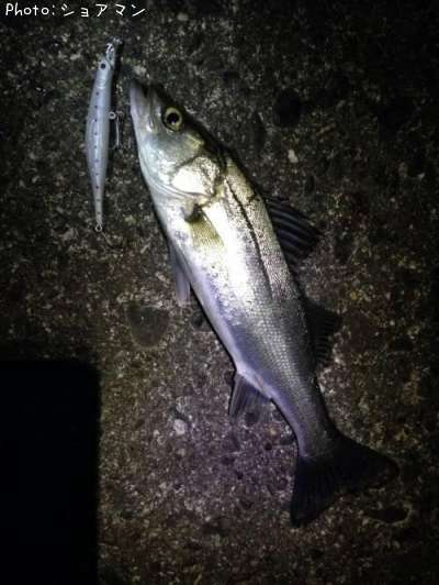 �����Х�