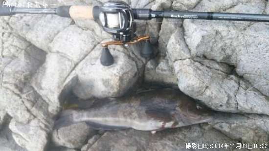 �����ʥ�