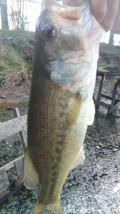 �֥�å��Х�