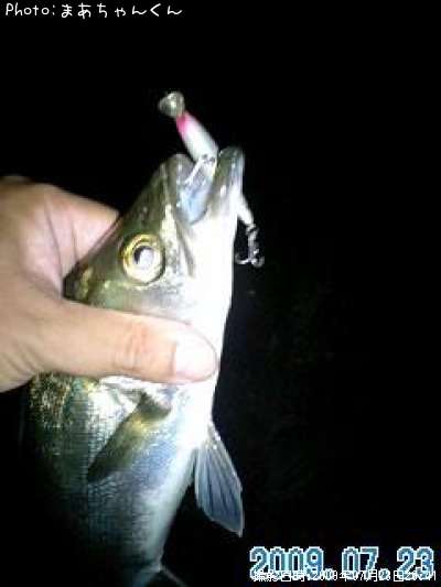 �����Х�