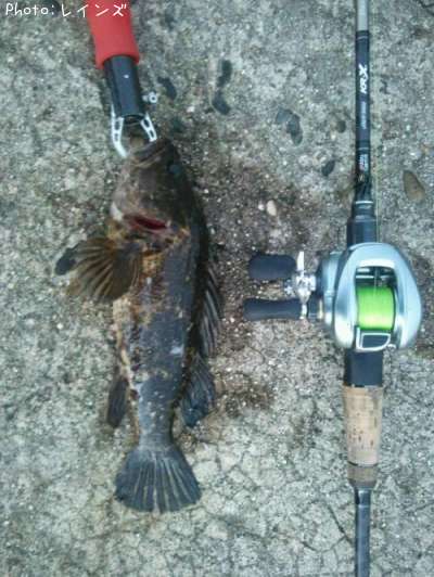 �����Υ���Х�