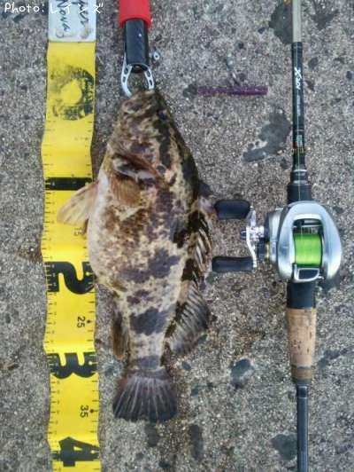 �����Υ���Х�