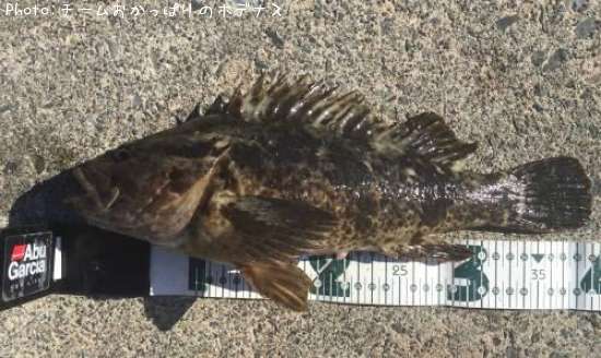 �����Υ���Х�