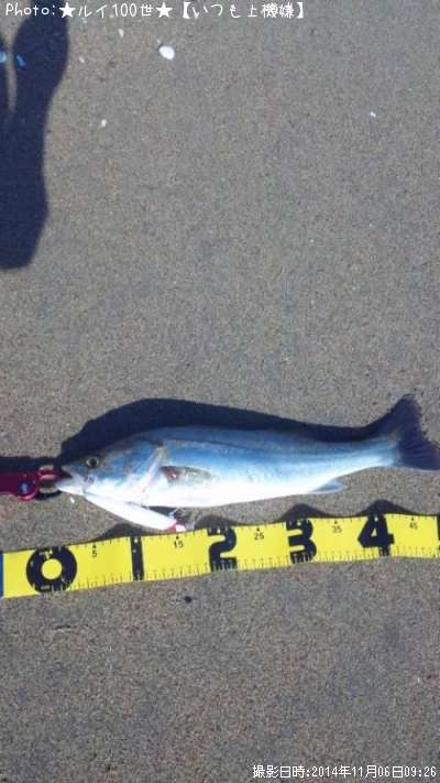 �����Х�