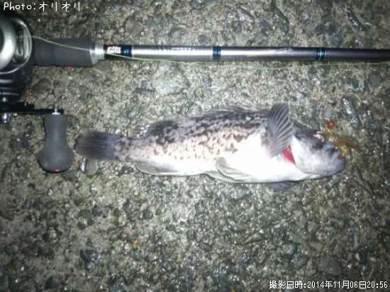 �٥å�������