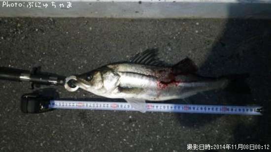 �����Х�