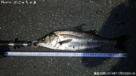 �����Х�