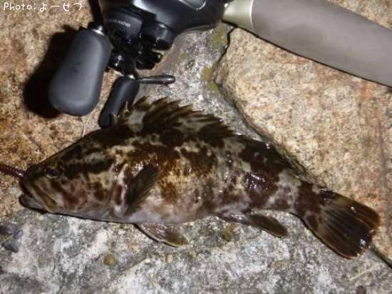 �����Υ���Х�