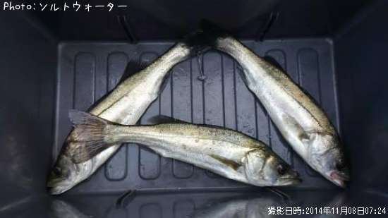 �����Х�