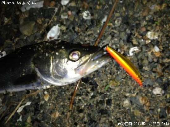 �����Х�